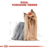 royal-canin-yorkshire-terrier-12x85g-marka-royal-canin