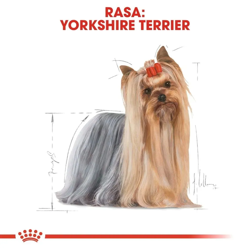 royal-canin-yorkshire-terrier-12x85g-marka-royal-canin