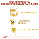 royal-canin-yorkshire-terrier-12x85g-karmy-specjalne-nie-dotyczy