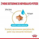 royal-canin-german-shepherd-5-12kg-karmy-specjalne-nie-dotyczy