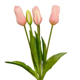 wiazka-gumowanych-tulipanow-x5-rozowe-kwiatu