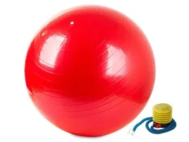 zestaw-pilka-gimnastyczna-pompka-65cm-rehabilitacyjna-domowa-silownia