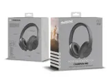 audictus-champion-pro
