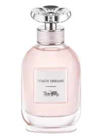 coach-dreams-90ml-flakon-sky-w-wa