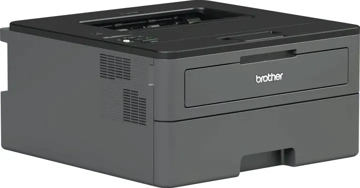brother-hl-l2460dn-duplex-lan-laser-mono-rodzaj-pozostale