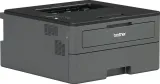 brother-hl-l2460dn-duplex-lan-laser-mono-rodzaj-pozostale
