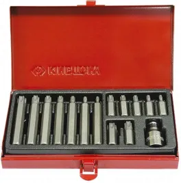 zestaw-bitow-10mm-torx-t20-t55-15-czesci