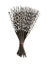 bazie-galazka-bazia-stroik-wielkanoc-47-cm-12-sztuk