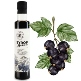 syrop-z-owocow-czarnego-bzu-250-ml-the-jar-trzcino