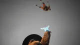 mortal-kombat-1-ps5-wersja-jezykowa-polska-napisy