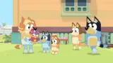 bluey-the-videogame-switch-wersja-gry-pudelkowa
