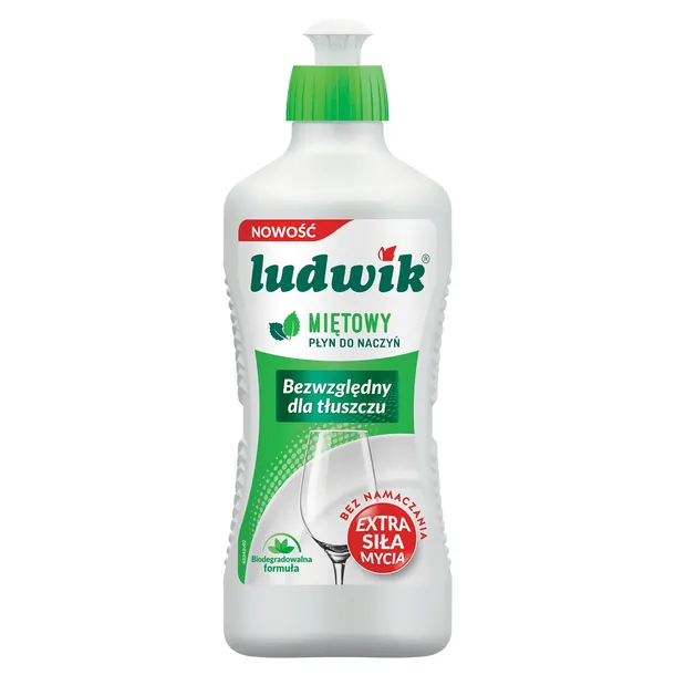 ludwik-900g-mieta