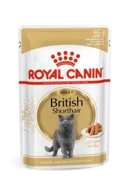 royal-canin-british-shorthair-12x85g-karma-mokra-brytyjski-krotkowlosy