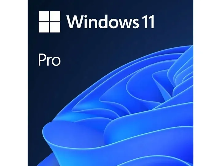 program-microsoft-windows-11-professional-box