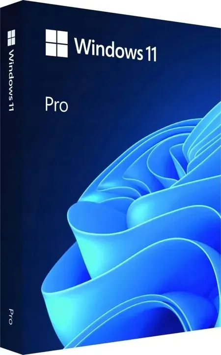 program-microsoft-windows-11-professional-box