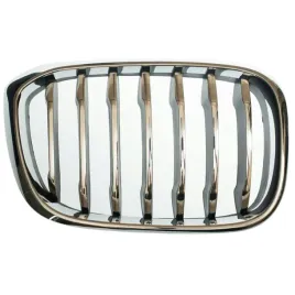 bmw-x3-g01-2017-2020-atrapa-chlodnicy-nerka-prawa-srebrna-51137464932