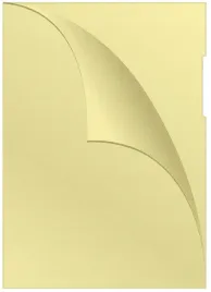 obwoluta-l-pp-a4-120mikr-100szt-zolta-koszulki
