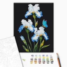malowanie-po-numerach-brushme-40x50-cm-irysy-1szt-w-pudelku