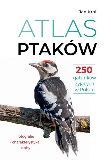 atlas-ptakow-wydawnictwo-wydawnictwo-sbm