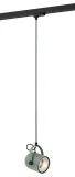argon-4313-net-zwis-1-pl