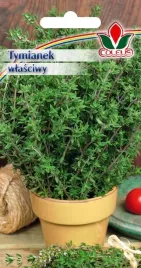tymianek-wlasciwy-03-g-nasiona-coleus