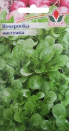 roszponka-warzywna-1-g-nasiona-coleus