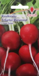 rzodkiewka-eerfurter-riesenrot-10-g-nasiona-coleus