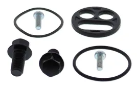 zestaw-naprawczy-kranika-all-balls-kawasaki-kvf650-brute-02-03-trwaly
