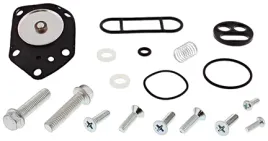 zestaw-naprawczy-kranika-all-balls-kawasaki-kl-250-super-sherpa-00-10