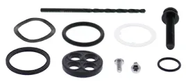 zestaw-naprawczy-kranika-all-balls-honda-trx250x-87-92-trx300-ex-87-92
