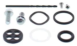 zestaw-naprawczy-kranika-all-balls-honda-trx250x-ex-sportrax-01-96-04