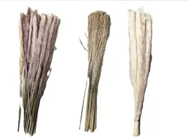 3x-trawa-pampasowa-suszona-dekoracja-40cm-do-wazonu-w-stylu-boho