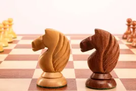 figury-szachowe-queen-s-gambit-1957-akacja-indyjska-375-cale