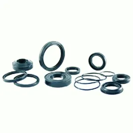 uszczelniacz-22x32x7-rms-10-066-2430