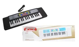 organki-na-baterie-mikrofon