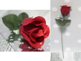 walentynkowa-roza-w-rozku-foliowym-35-cm