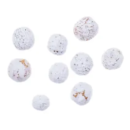 suszone-owoce-melia-bielone-9-sztuk