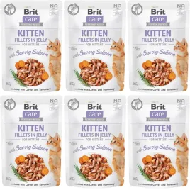 brit-care-cat-fj-fine-savory-salmon-6x85g-kawalki-w-sosie-karma-dla-kociat