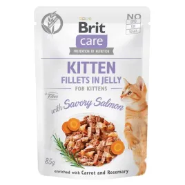 brit-care-cat-fj-fine-savory-salmon-85g-kawalki-w-sosie-karma-dla-kota