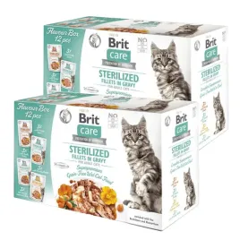 brit-care-fillets-in-gravy-box-pouch-sterilized-dla-kotow-24x85g