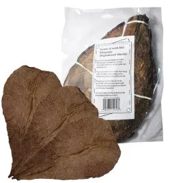 dim-liscie-ketapangu-20szt-pokarm-naturalny-suszone-liscie