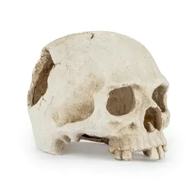 ozdoba-czaszka-kryjowka-dekoracja-do-terrarium-akwarium-happet-15cm