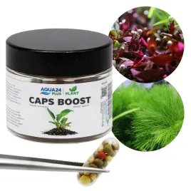 caps-boost-40szt-nawoz-w-kapsulkach-dla-roslin-or-aqua24-plus-plant