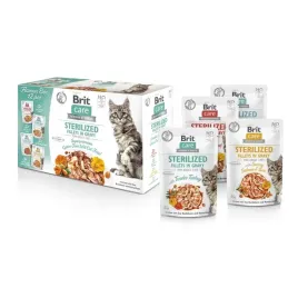 brit-care-fillets-in-gravy-box-pouch-sterilized-dla-kotow-12x85g