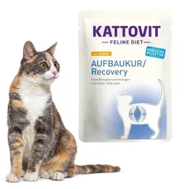 kattovit-recovery-diet-regeneracja-mokra-karma-dla-kota-85g-regenerujaca
