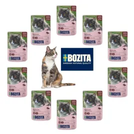 bozita-karma-dla-kota-w-galarecie-z-losiem-10x85g