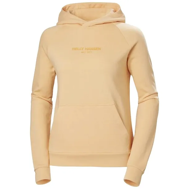 core-hoodie