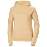 core-hoodie