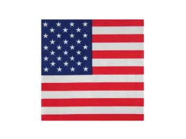 serwetki-papierowe-flaga-usa-33-cm-20-szt