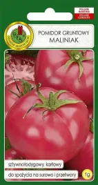 pomidor-gruntowy-malinowy-maliniak-1-g-nasiona-pnos